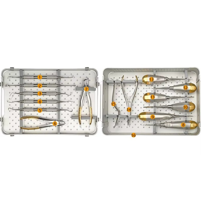 Small Animal Dental Instruments Kit
