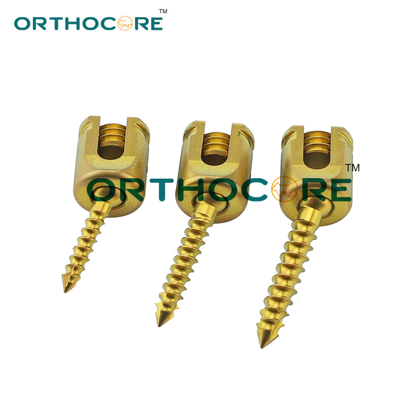 Spinal Polyaxial Fixation System