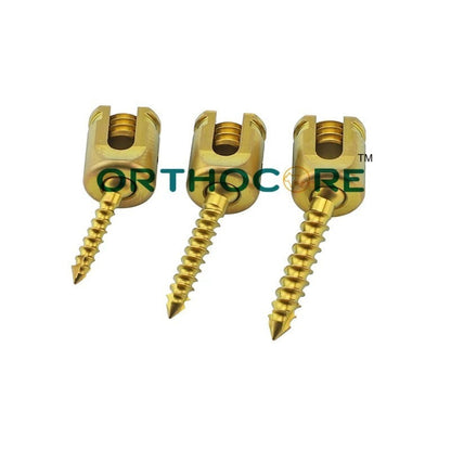 Sistema de fijación espinal veterinaria SW2.5 de 3.5 mm