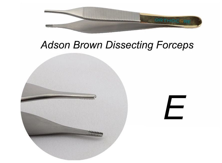 Adson Forceps