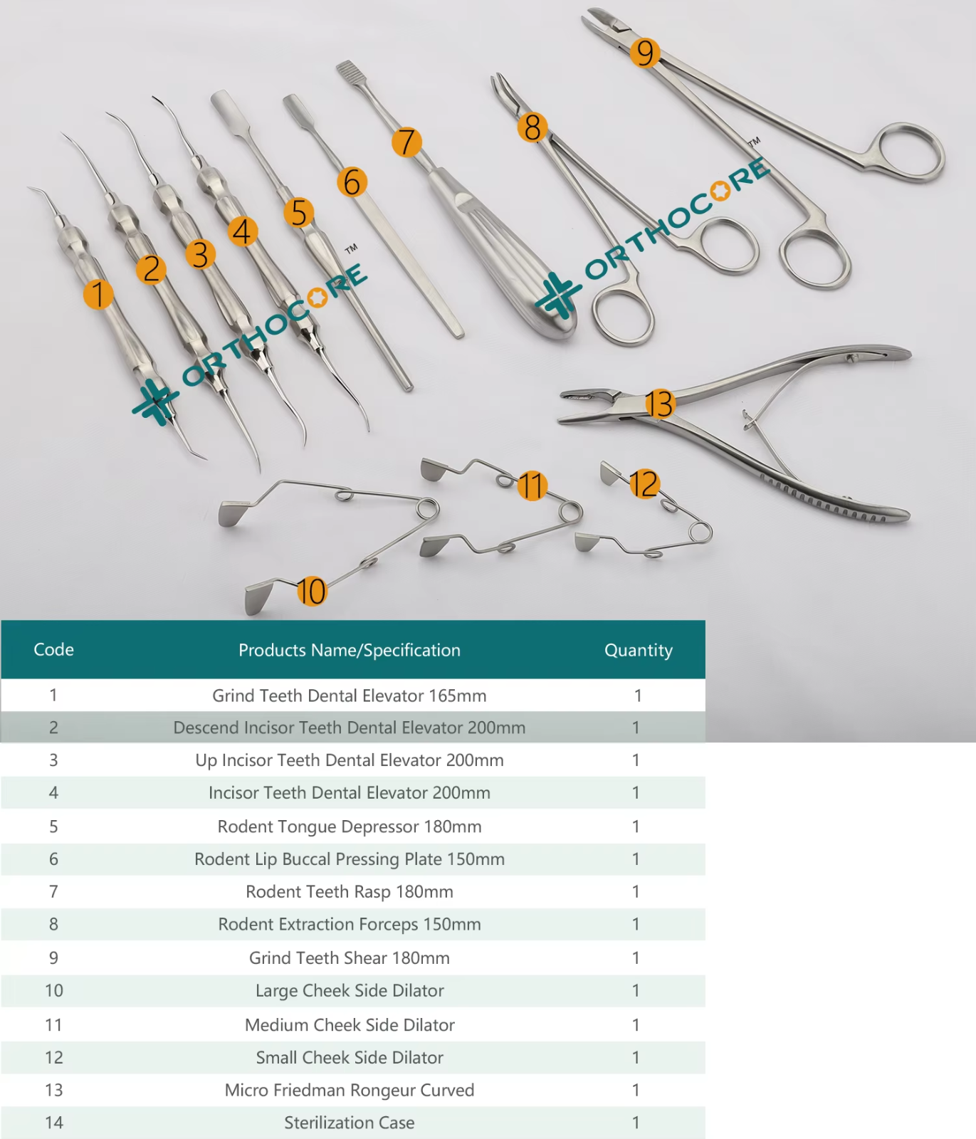 Small Animal Dental  Instruments