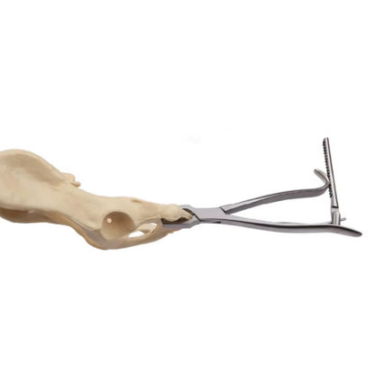 KERN Bone Holding Forceps