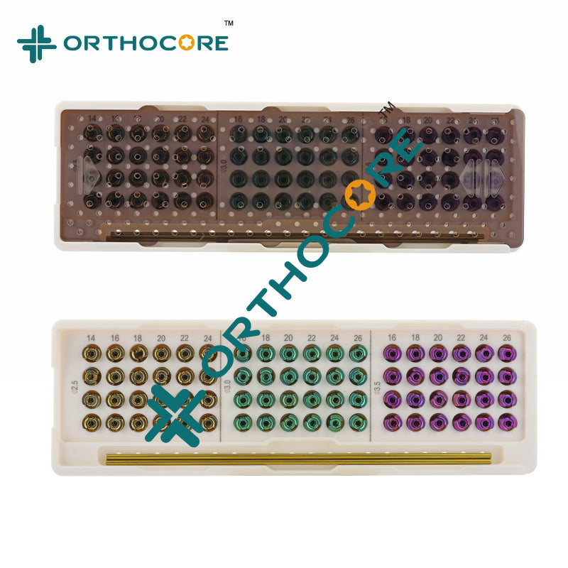 Spinal Polyaxial Fixation System