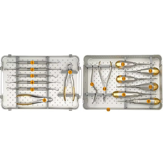 Small Animal Dental  Instruments Kit